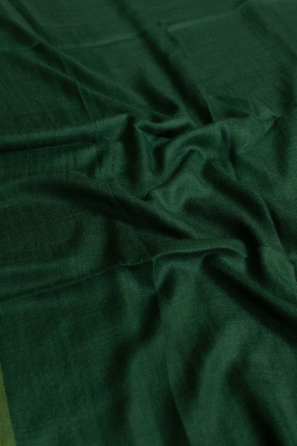 Leaf Green Kashmir Woolen Stole