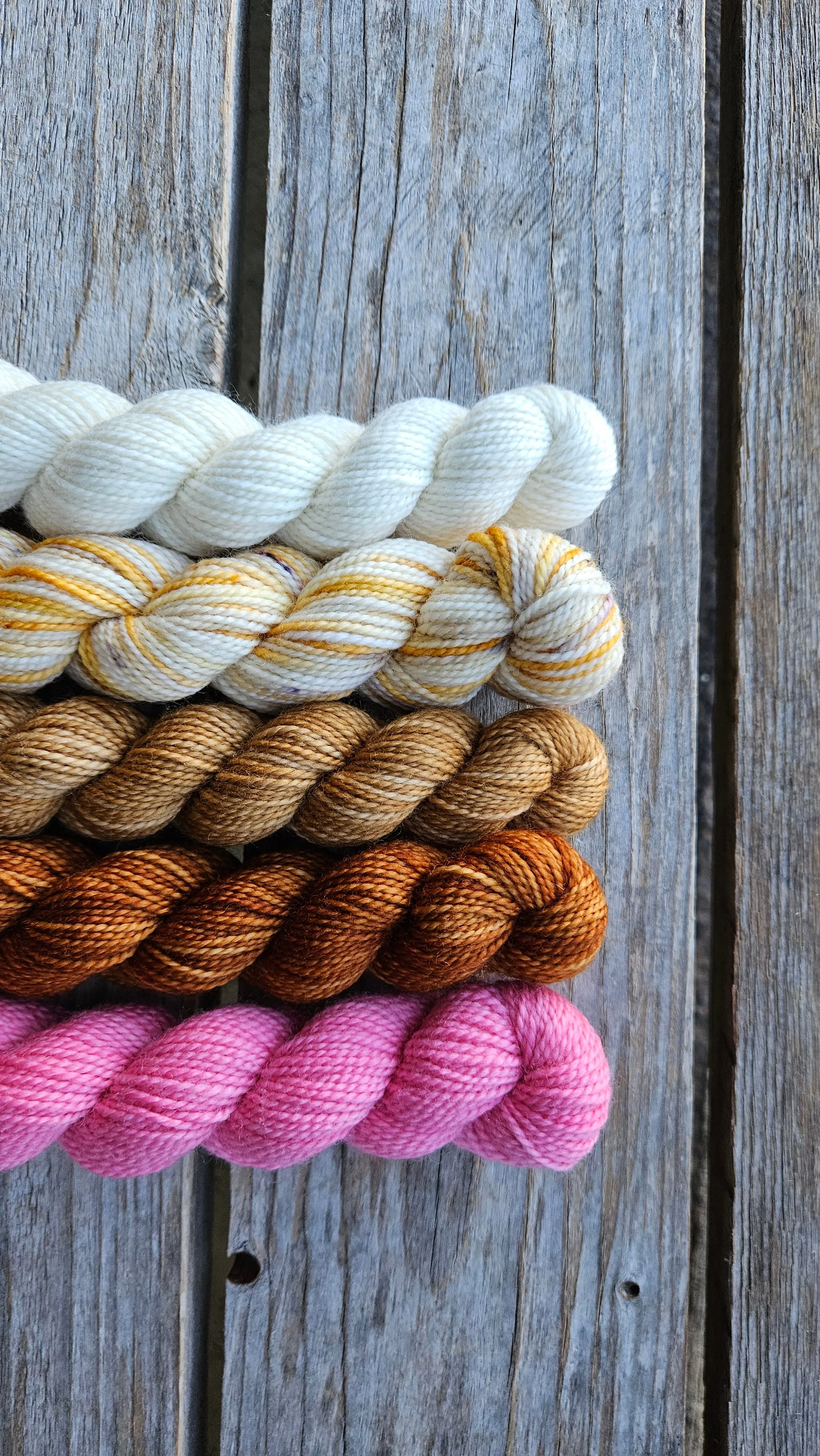 Paint Can - 5 x 25g minis  (wholesale)