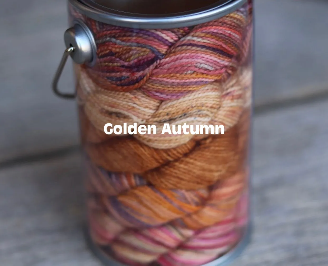Paint Can - 5 x 25g minis  (wholesale)