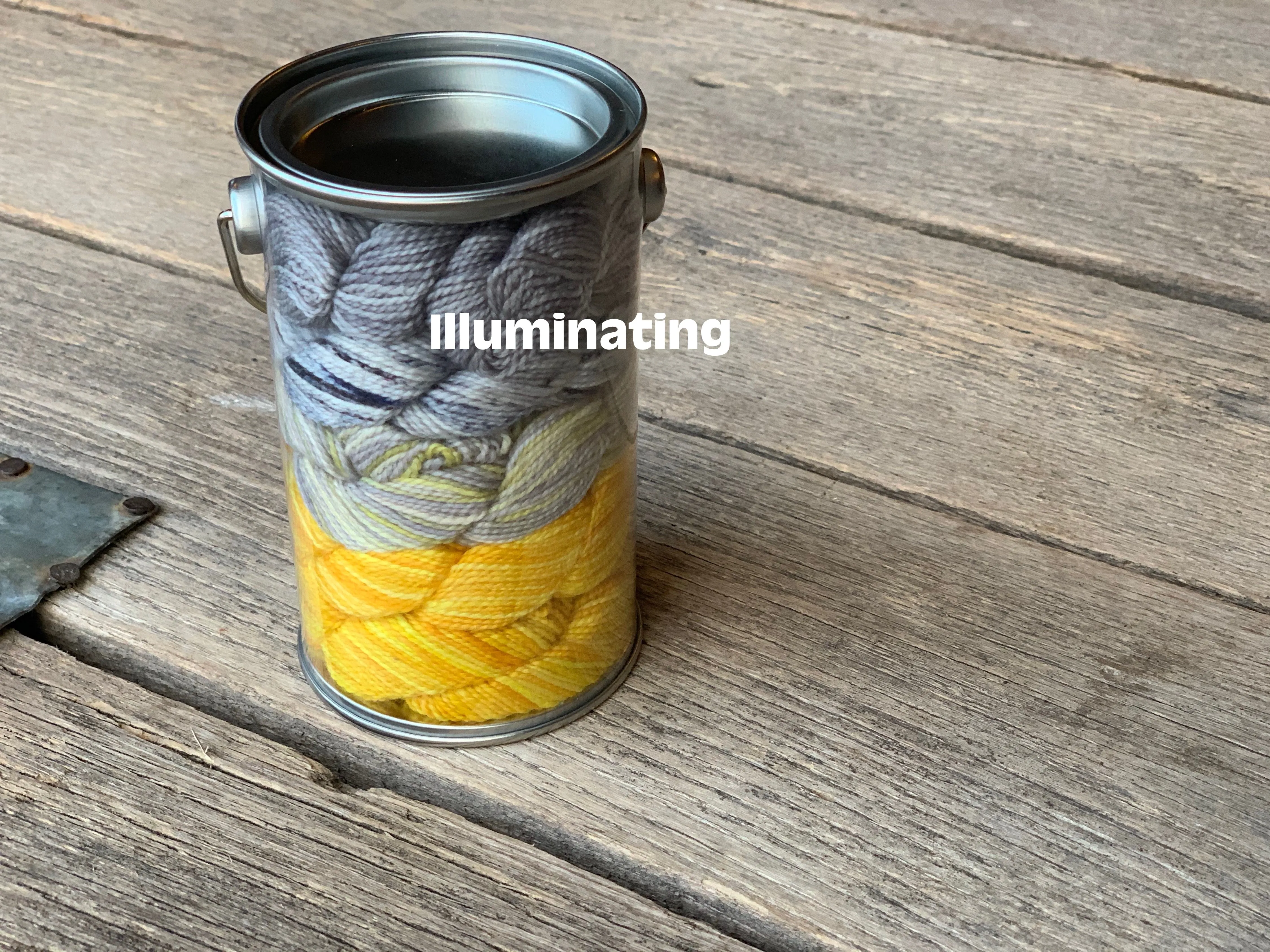 Paint Can - 5 x 25g minis  (wholesale)